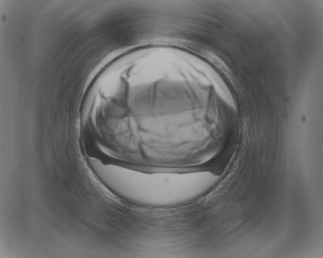 X0000083651428200703121734