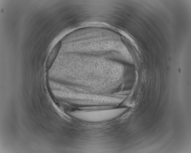 X0000083651430200703121734