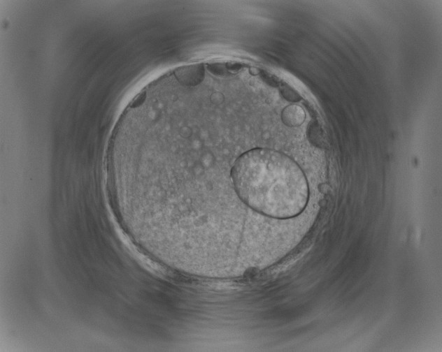 X0000083651431200703121734