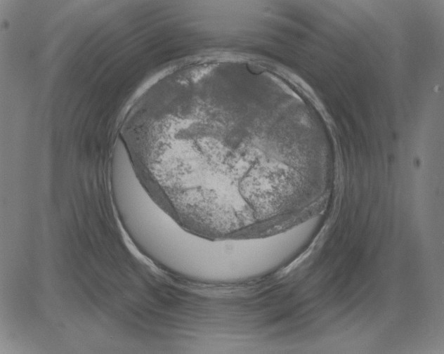 X0000083651433200703121734