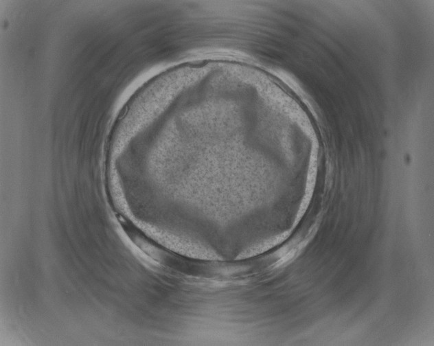 X0000083651438200703121734