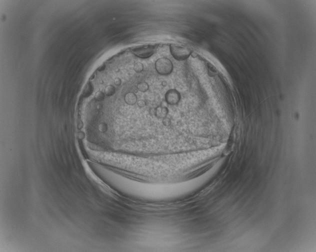 X0000083651439200703121734