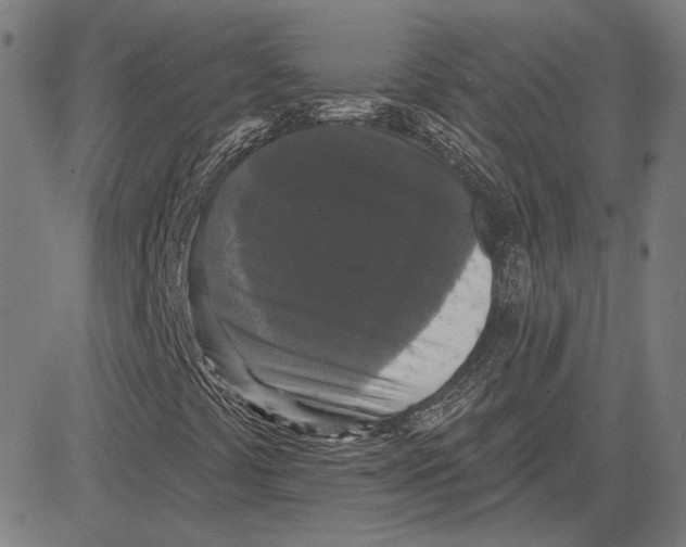 X0000083651441200703121733