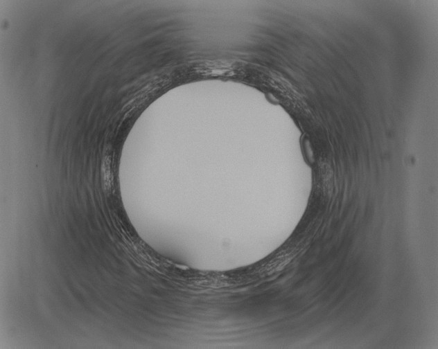 X0000083651442200703121733