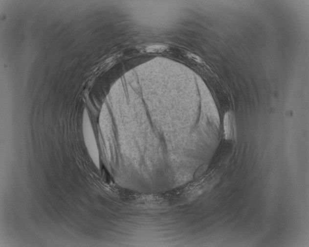 X0000083651443200703121733