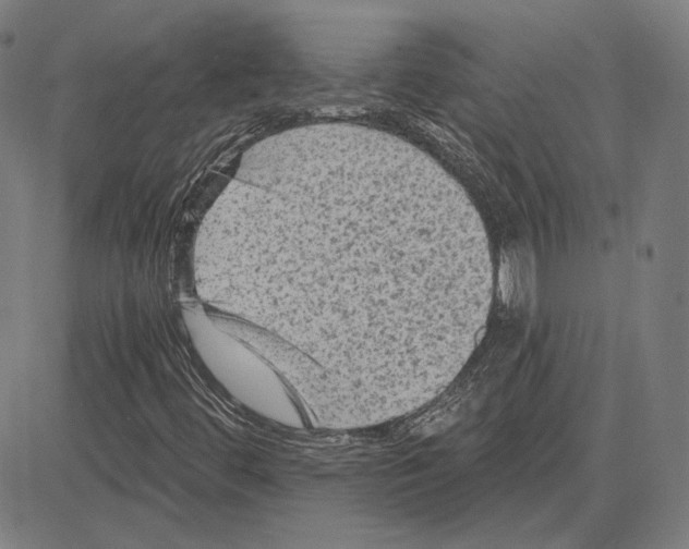 X0000083651444200703121733