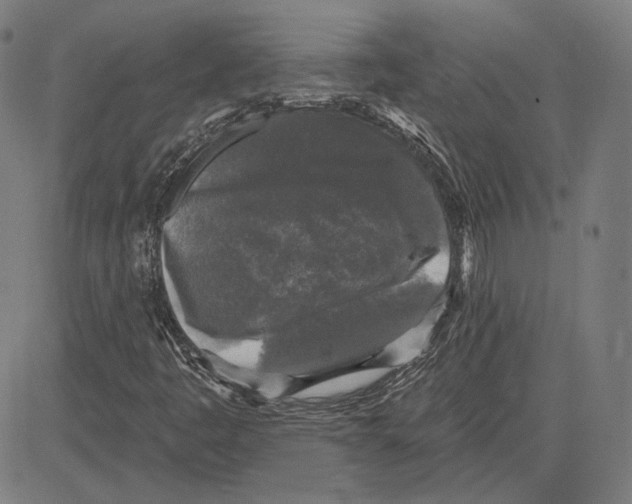 X0000083651445200703121733