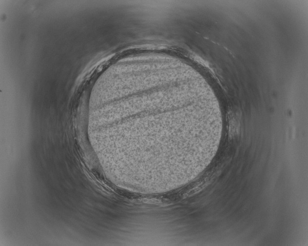 X0000083651448200703121733