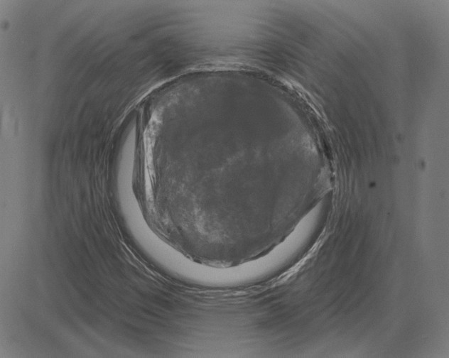 X0000083651449200703121733