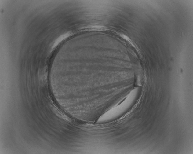 X0000083651450200703121733