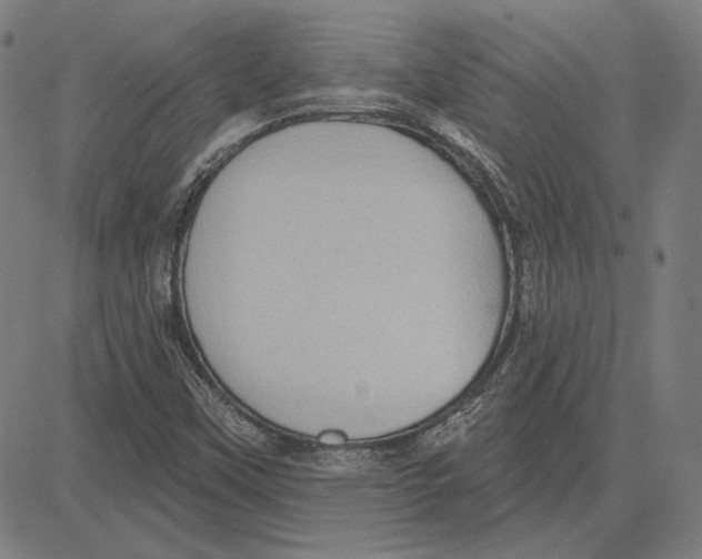 X0000083651451200703121733