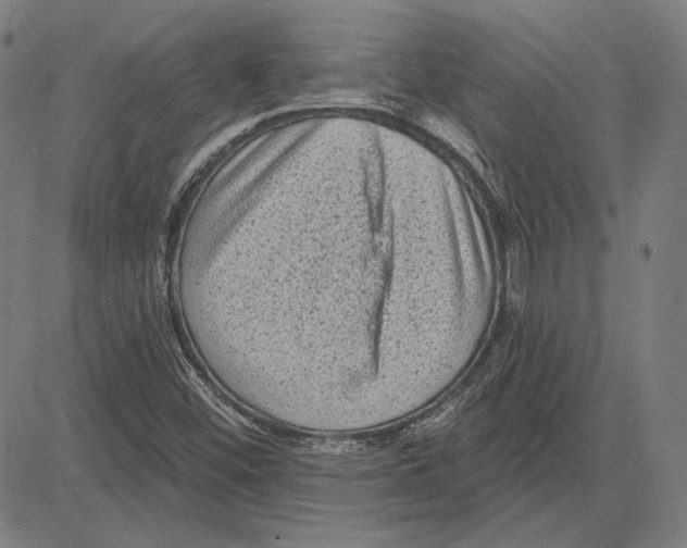 X0000083651452200703121733