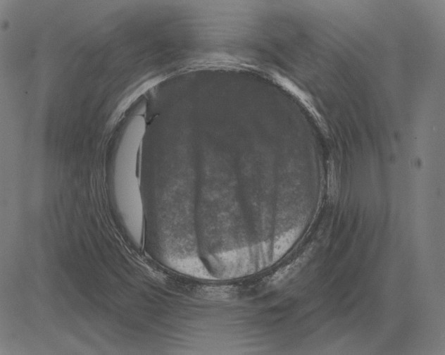 X0000083651453200703121733