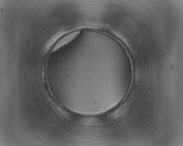 X0000083651455200703121733