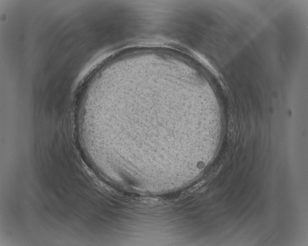 X0000083651456200703121733