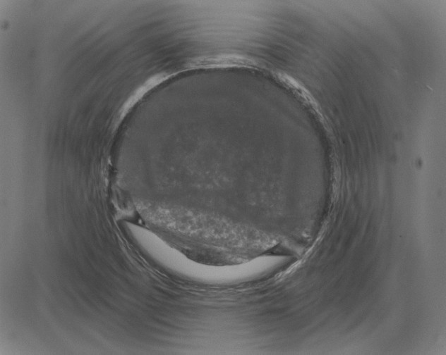 X0000083651457200703121733