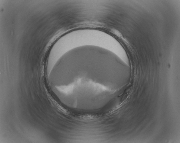 X0000083651459200703121733