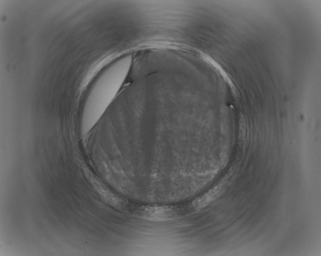 X0000083651461200703121733