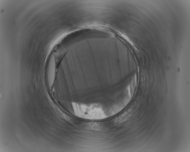 X0000083651463200703121733