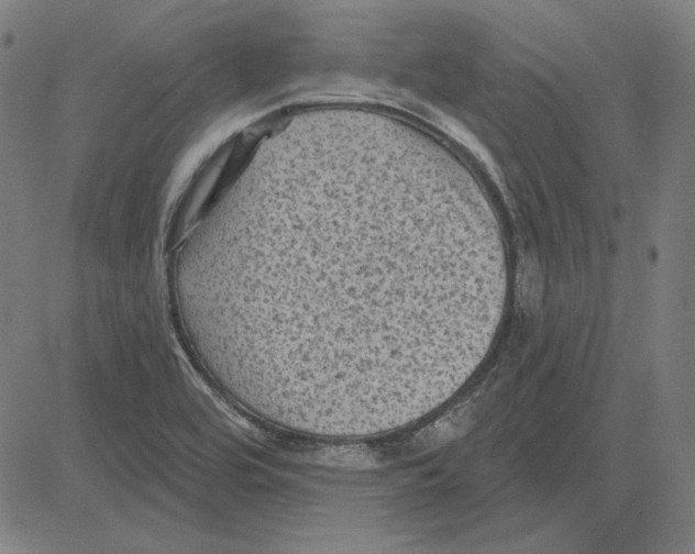 X0000083651464200703121733