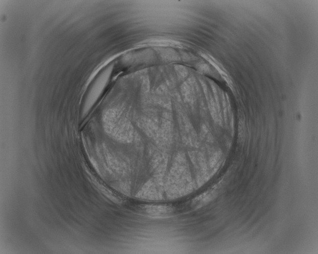 X0000083651465200703121733