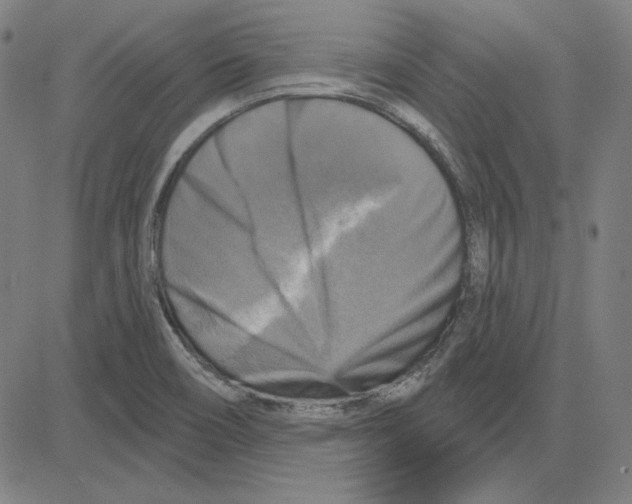 X0000083651466200703121733