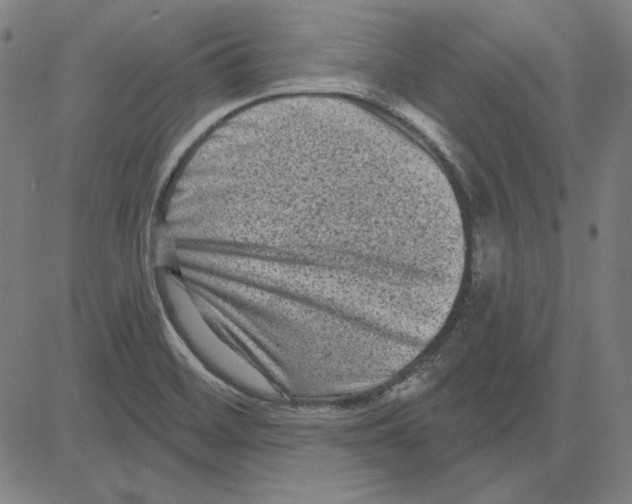 X0000083651468200703121733