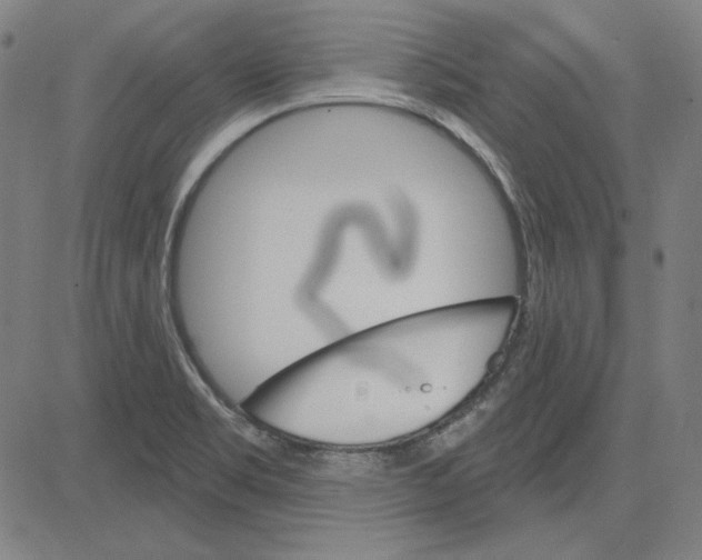 X0000083651469200703121733