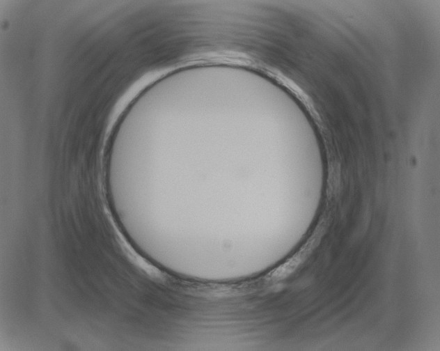 X0000083651470200703121733