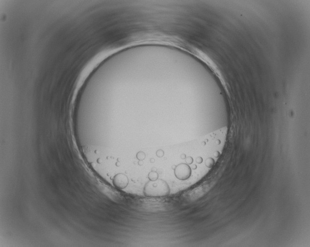 X0000083651472200703121733