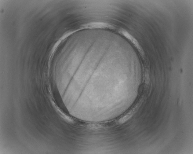 X0000083651473200703121733