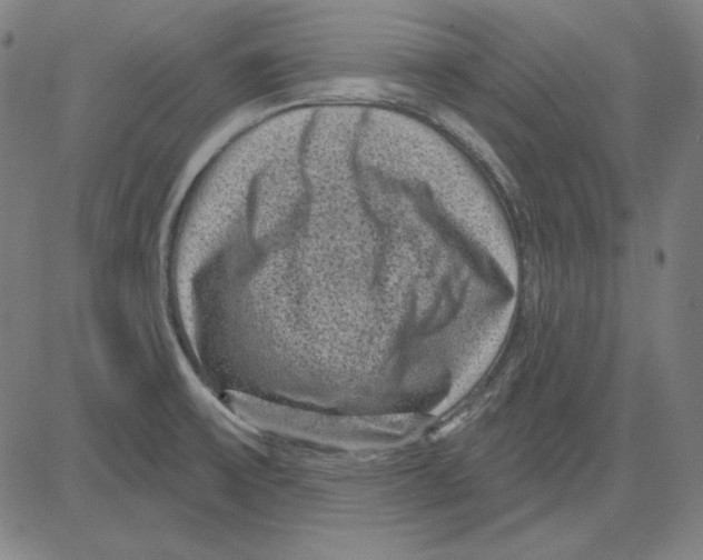 X0000083651475200703121732