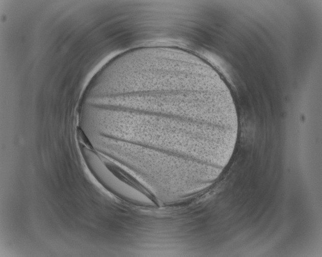 X0000083651476200703121732