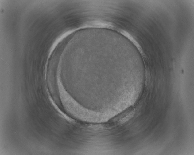 X0000083651477200703121732