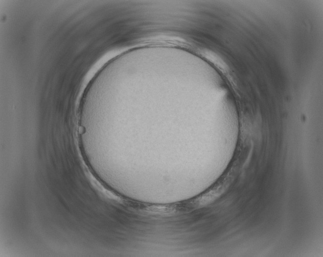 X0000083651478200703121732