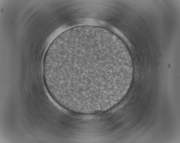 X0000083651479200703121732