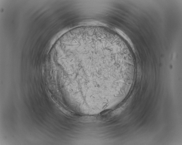 X0000083651481200703121732