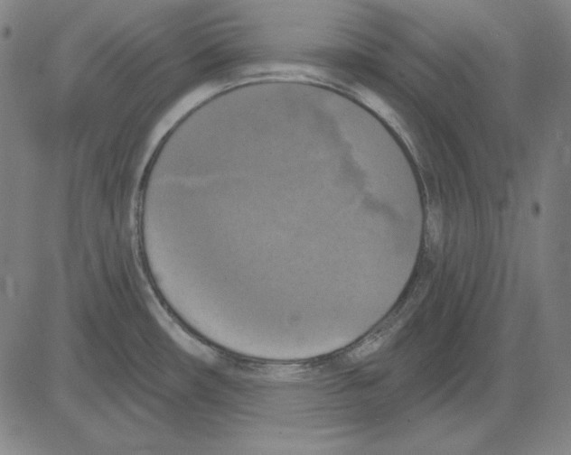 X0000083651482200703121732