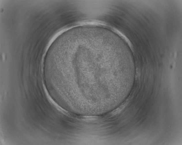 X0000083651483200703121732