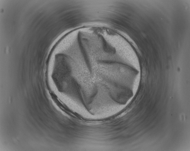 X0000083651484200703121732