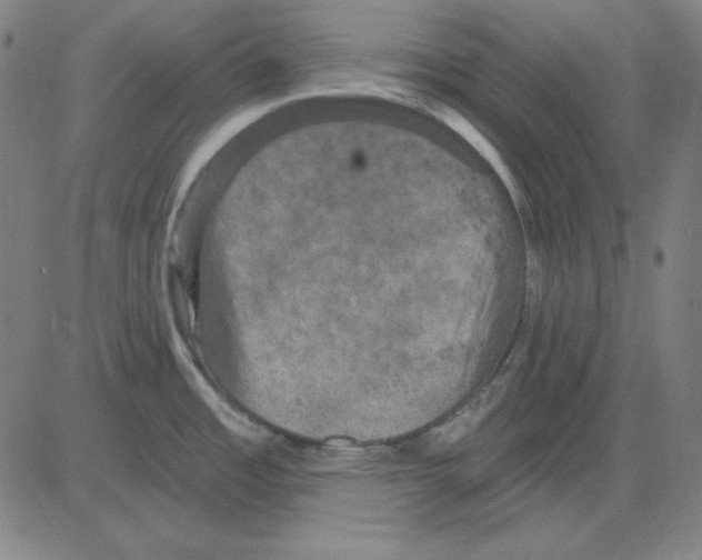 X0000083651485200703121732