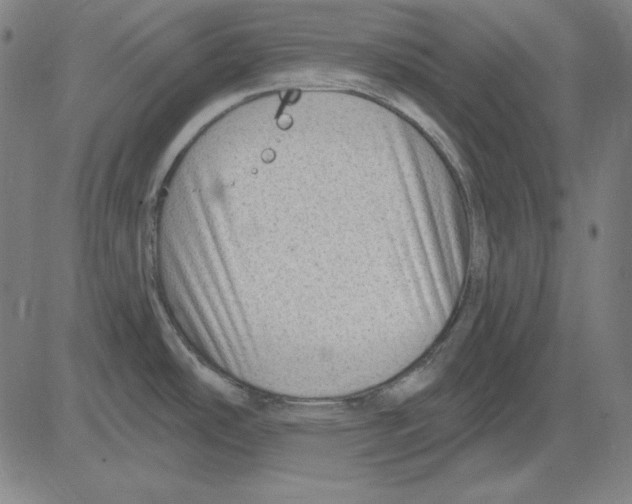 X0000083651486200703121732