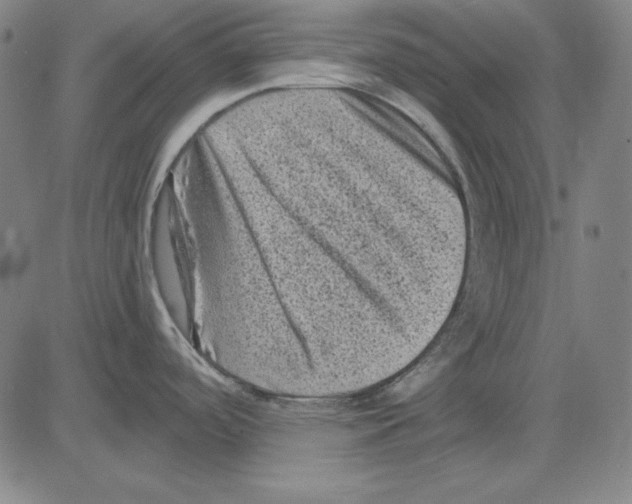 X0000083651488200703121732