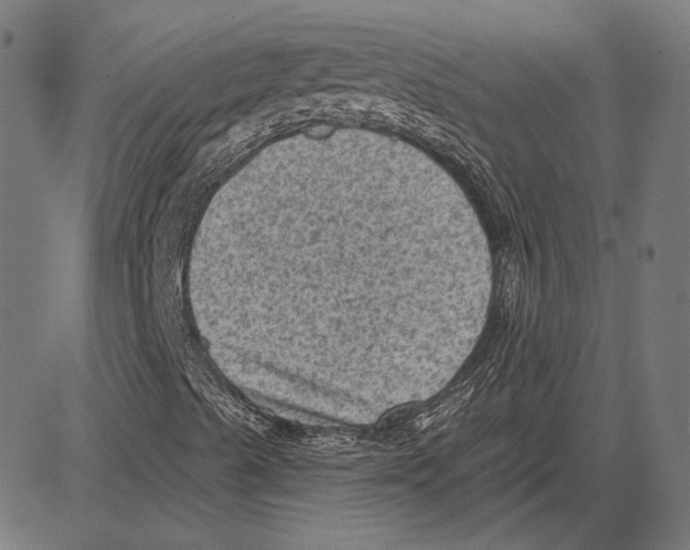 X0000083651489200703121731