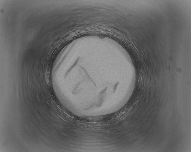 X0000083651490200703121731