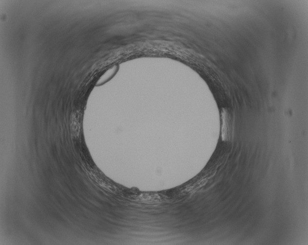 X0000083651491200703121731