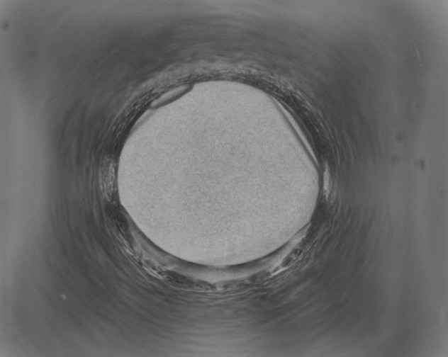 X0000083651492200703121732