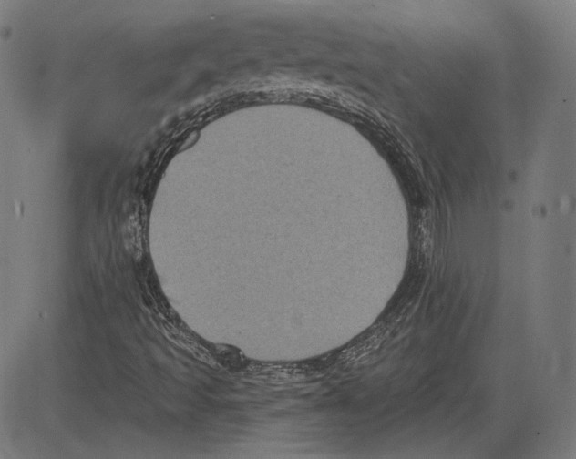 X0000083651493200703121732