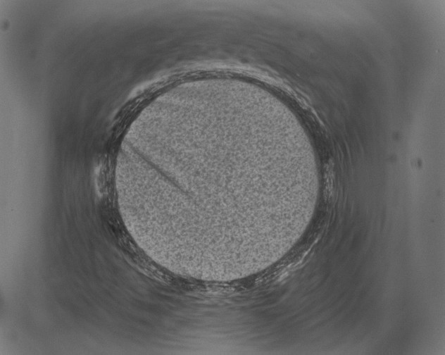 X0000083651494200703121732