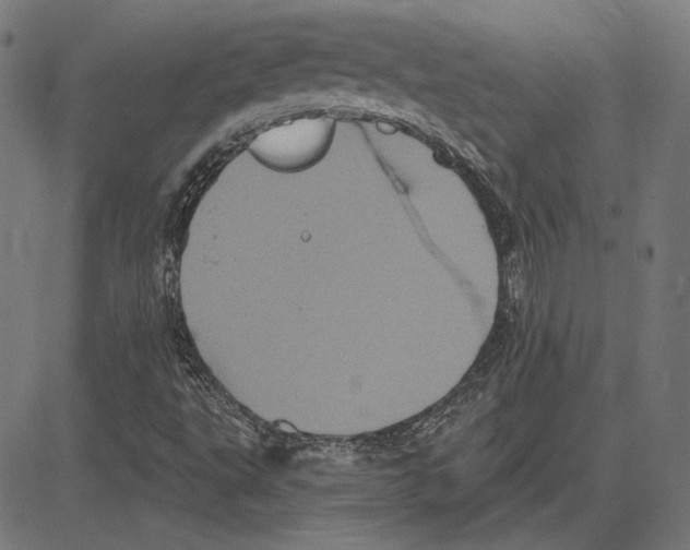 X0000083651495200703121732